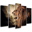 5 stykke lærredsprint, Lion Africa Animal Nature