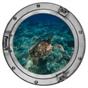 Wandtattoo 3D Optik - Schildkröte von oben - Rund