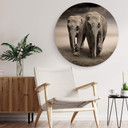 Tableau en alu-Dibond Les éléphants - Rond