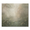 Mystiek regenwoud in de mist - Ms Tiff