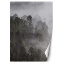 Fototapete, grüner Wald im Nebel