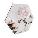 Hexagone - alu-Dibond 1X Studio - Trois pivoines en fleurs