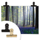 Plakat Popan - Bellflowers