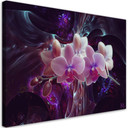 Canvasbillede, Hvide orkidéblomster planter