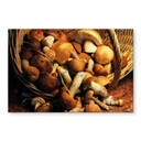 Crédence - Panier de Champignons