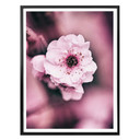 Plakat Blossom splendor - szczegół