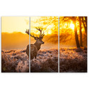 3 stykke lærredsprint, Deer Forest Sunset
