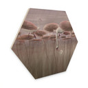 Houten Wanddecoratie zeshoekig lotusbloemen met zwaan in water in donkerroze - Ms Tiff