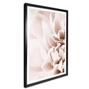 Plakat 1X Studio - Kwitnący splendor