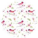 Sticker mural Kvilis - Gazouillis du printemps - Rond