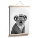 Plakat Koala z kawą - Korenkova