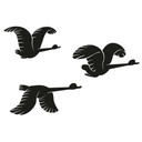 Wallsticker - Flyvende ænder