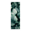 Obraz tkaniny Urban Jungle - Calathea Orbifolia