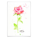 Poster - Buttafly - Rose