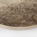 Houten Wanddecoratie pampagras en grassen in beige - Ms Tiff - Rond