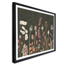 Plakat Sir Edward - Suszone Kwiaty Oliwne