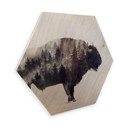 Hexagon Hout - Beáta - Bison