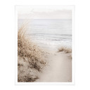 Plakat 1X Studio - Wydmy na plaży