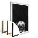 Plakat Graves - Snuggle Pug