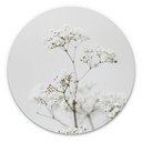 Tableau sur alu-Dibond Annie - Cerfeuil des prés - Rond