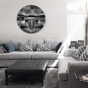 Tableau en alu-Dibond Schlipf - Trop vieille pour rouler - Rond