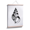 Plakat Seashell 01