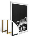 Plakat Graves - Racoon