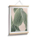 Plakat Calathea - Sisi & Seb