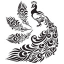Wandtattoo Kleiner Pfau mit langem Federkleid + 3 Pfauenfedern