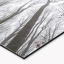 Køkken backsplash Trætoppe med røde blade - Coman