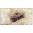 3-delt lærredsprint, Rose Flower Vintage Beige