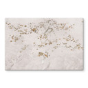 Acrylglas afbeelding Elegante dennenboom in Aziatische stijl - Ms Tiff