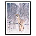 Plakat Winter Fawn