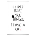 Poster - I can't have nice Things - Cat