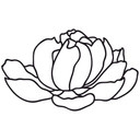 Muursticker Peony Blossom 01