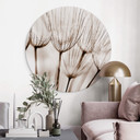 Tableau sur alu-Dibond rond Parapluie d'aviateur