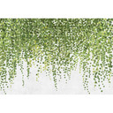 Livingwalls Fototapet Walls by Patel 2 hanging garden 1