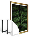 Plakat Botaniczny 02 