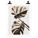 Plakat 1X Studio - Golden Monstera