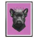 Plakat Korenkova - Król buldog francuski różowy