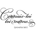 Sticker mural - Connais-toi toi-même