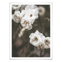 Plakat Annie - Louise Bugnet