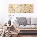 Akrylbillede van Gogh - Mandelblomstcreme - Panorama