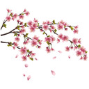 Wallsticker Gren Med Kirsebær Blomster