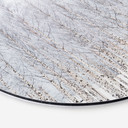 Billede af birkeskov om vinteren - EMELIEmaria - rund – print på aluminium (Alu-Dibond)