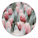 Tableau sur alu-Dibond Annie - Tulipes de printemps - Rond
