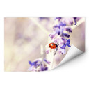 Zelfklevende Poster Little Friend