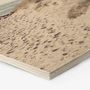 Hexagone - Bois 1X Studio - Montée de plage sur les dunes