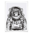 Plakat Space Monkey
