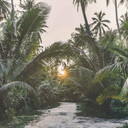 Papier peint Tropical Palm landscape en gris beige - Papier peint intissé Designwalls 2 - 2.55 x 3.5